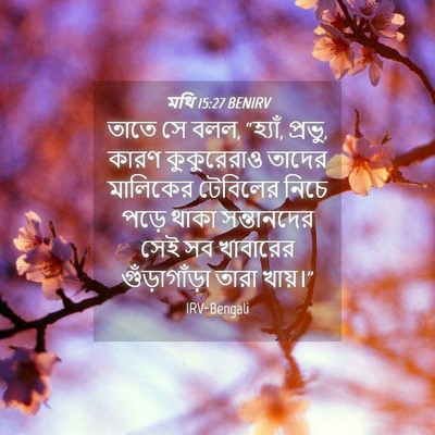 Picture 04 - মথি 15:27 BENIRV - তাতে সে বলল, - Bible Verse Picture