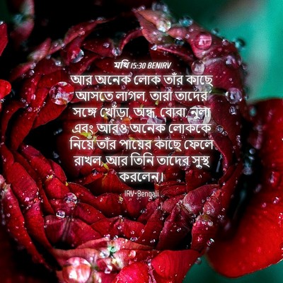 Picture 04 - মথি 15:30 BENIRV - আর অনেক লোক তাঁর - Bible Verse Picture