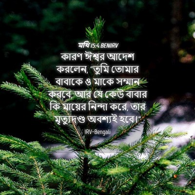 Picture 04 - মথি 15:4 BENIRV - কারণ ঈশ্বর আদেশ - Bible Verse Picture
