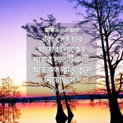Picture 04 - মথি 16:10 BENIRV - এবং সেই চার হাজার - Bible Verse Picture