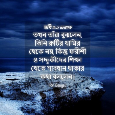 Picture 04 - মথি 16:12 BENIRV - তখন তাঁরা বুঝলেন, - Bible Verse Picture