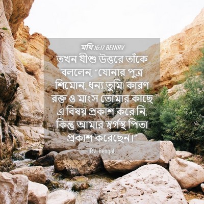 Picture 04 - মথি 16:17 BENIRV - তখন যীশু উত্তরে - Bible Verse Picture