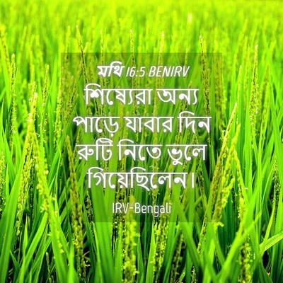Picture 04 - মথি 16:5 BENIRV - শিষ্যেরা অন্য - Bible Verse Picture