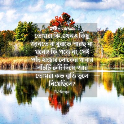 Picture 04 - মথি 16:9 BENIRV - তোমরা কি এখনও কিছু - Bible Verse Picture