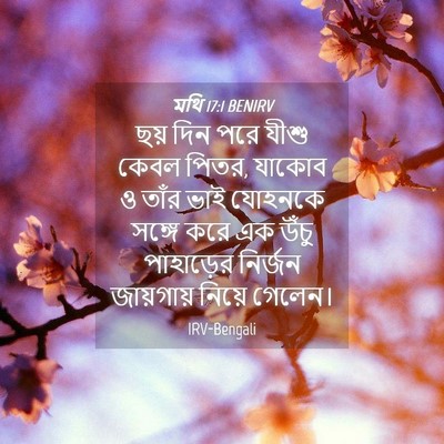 Picture 04 - মথি 17:1 BENIRV - ছয় দিন পরে যীশু - Bible Verse Picture