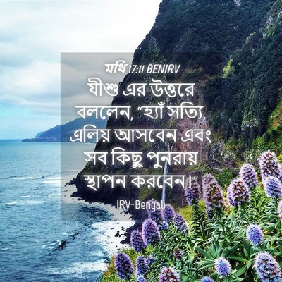 Picture 04 - মথি 17:11 BENIRV - যীশু এর উত্তরে - Bible Verse Picture