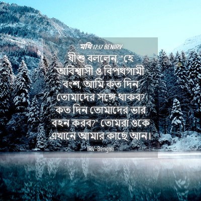 Picture 04 - মথি 17:17 BENIRV - যীশু বললেন, “হে - Bible Verse Picture