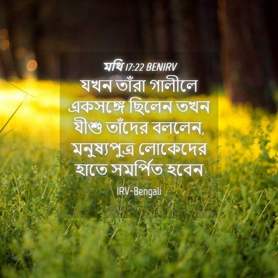 Picture 04 - মথি 17:22 BENIRV - যখন তাঁরা গালীলে - Bible Verse Picture