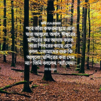 Picture 04 - মথি 17:24 BENIRV - পরে তাঁরা - Bible Verse Picture