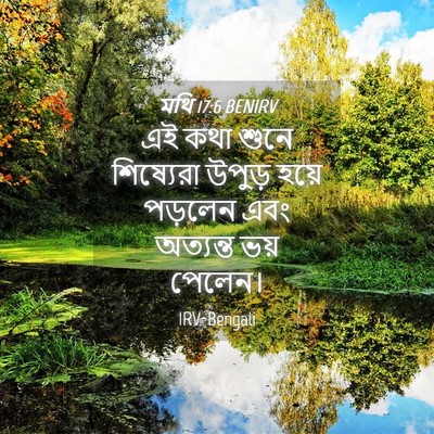 Picture 04 - মথি 17:6 BENIRV - এই কথা শুনে - Bible Verse Picture