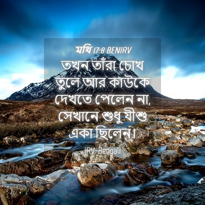 Picture 04 - মথি 17:8 BENIRV - তখন তাঁরা চোখ তুলে - Bible Verse Picture