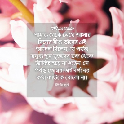 Picture 04 - মথি 17:9 BENIRV - পাহাড় থেকে নেমে - Bible Verse Picture