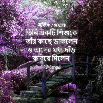 Picture 04 - মথি 18:2 BENIRV - তিনি একটি শিশুকে - Bible Verse Picture