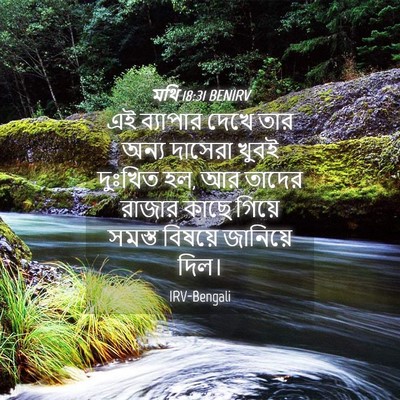 Picture 04 - মথি 18:31 BENIRV - এই ব্যাপার দেখে - Bible Verse Picture