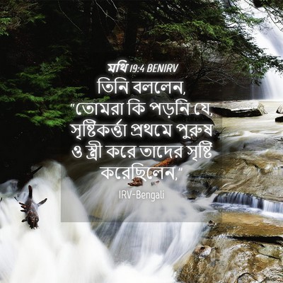 Picture 04 - মথি 19:4 BENIRV - তিনি বললেন, “তোমরা - Bible Verse Picture