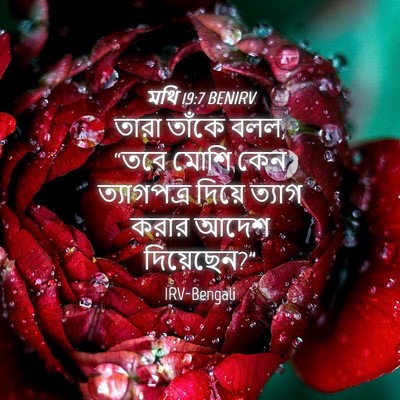 Picture 04 - মথি 19:7 BENIRV - তারা তাঁকে বলল, - Bible Verse Picture