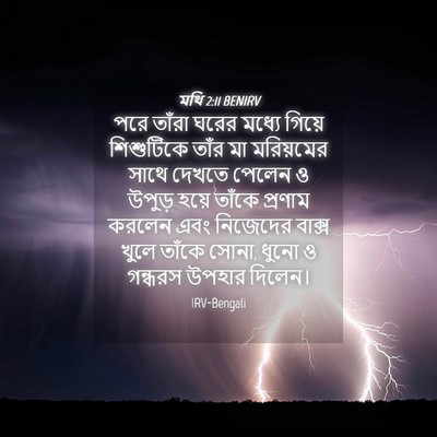 Picture 04 - মথি 2:11 BENIRV - পরে তাঁরা ঘরের - Bible Verse Picture