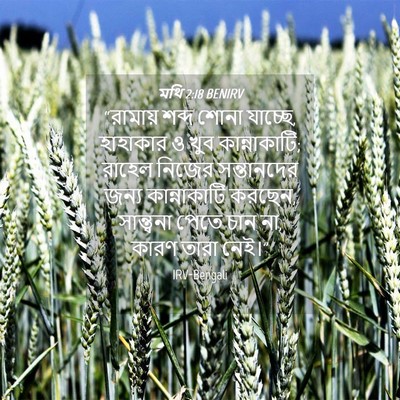 Picture 04 - মথি 2:18 BENIRV - “রামায় শব্দ শোনা - Bible Verse Picture