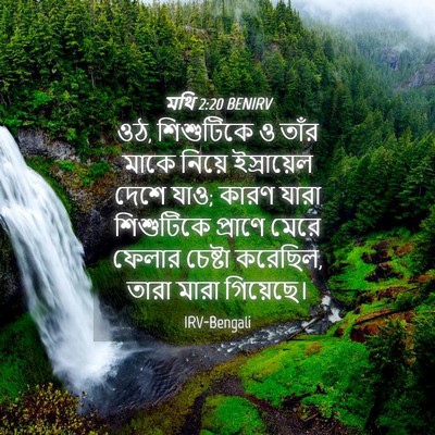 Picture 04 - মথি 2:20 BENIRV - ওঠ, শিশুটিকে ও তাঁর - Bible Verse Picture