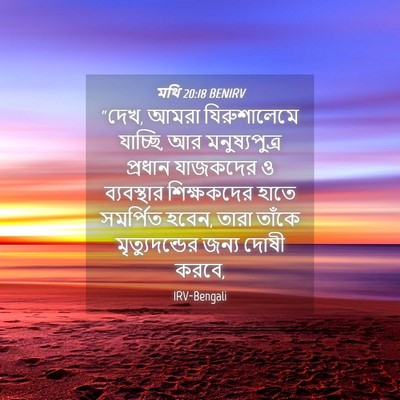 Picture 04 - মথি 20:18 BENIRV - “দেখ, আমরা - Bible Verse Picture