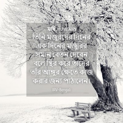 Picture 04 - মথি 20:2 BENIRV - তিনি মজুরদের - Bible Verse Picture