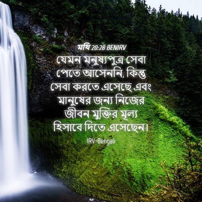 Picture 04 - মথি 20:28 BENIRV - যেমন মনুষ্যপুত্র - Bible Verse Picture