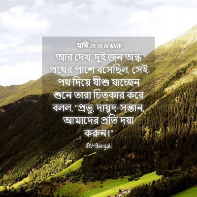 Picture 04 - মথি 20:30 BENIRV - আর দেখ, দুই জন অন্ধ - Bible Verse Picture