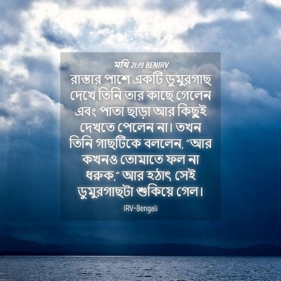 Picture 04 - মথি 21:19 BENIRV - রাস্তার পাশে একটি - Bible Verse Picture