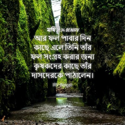 Picture 04 - মথি 21:34 BENIRV - আর ফল পাবার দিন - Bible Verse Picture