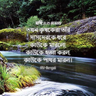 Picture 04 - মথি 21:35 BENIRV - তখন কৃষকেরা তাঁর - Bible Verse Picture