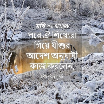 Picture 04 - মথি 21:6 BENIRV - পরে ঐ শিষ্যেরা - Bible Verse Picture