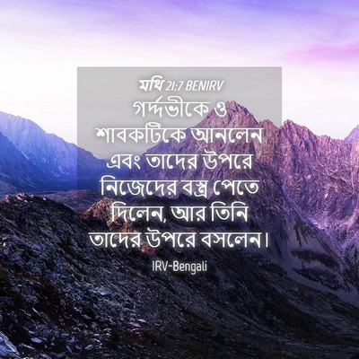 Picture 04 - মথি 21:7 BENIRV - গর্দ্দভীকে ও - Bible Verse Picture