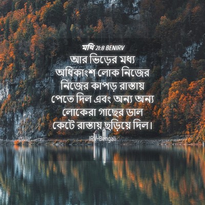 Picture 04 - মথি 21:8 BENIRV - আর ভিড়ের মধ্য - Bible Verse Picture