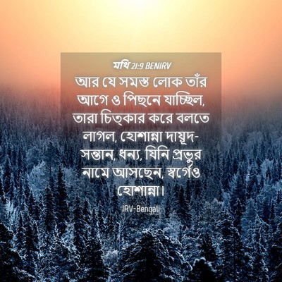 Picture 04 - মথি 21:9 BENIRV - আর যে সমস্ত লোক - Bible Verse Picture