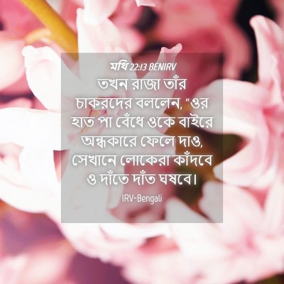 Picture 04 - মথি 22:13 BENIRV - তখন রাজা তাঁর - Bible Verse Picture