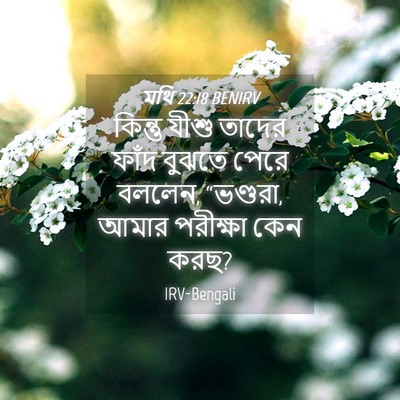 Picture 04 - মথি 22:18 BENIRV - কিন্তু যীশু তাদের - Bible Verse Picture