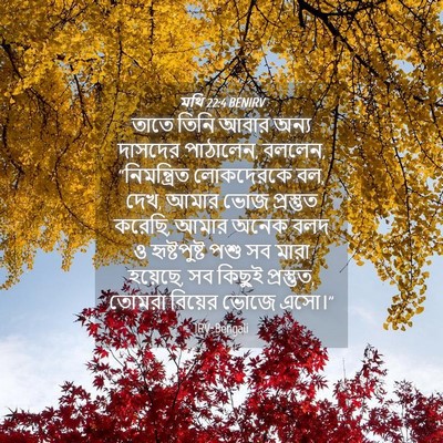 Picture 04 - মথি 22:4 BENIRV - তাতে তিনি আবার - Bible Verse Picture