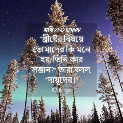 Picture 04 - মথি 22:42 BENIRV - “খ্রীষ্টের বিষয়ে - Bible Verse Picture