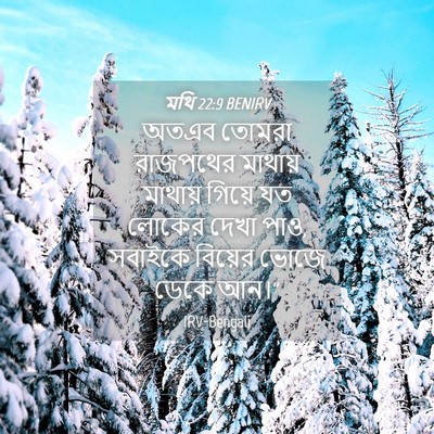 Picture 04 - মথি 22:9 BENIRV - অতএব তোমরা - Bible Verse Picture