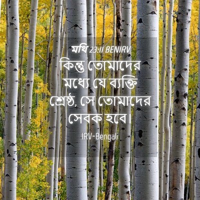 Picture 04 - মথি 23:11 BENIRV - কিন্তু তোমাদের - Bible Verse Picture