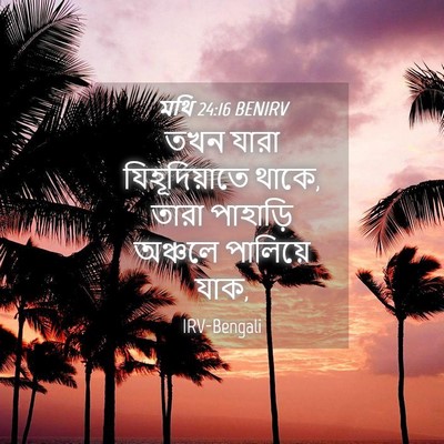 Picture 04 - মথি 24:16 BENIRV - তখন যারা - Bible Verse Picture