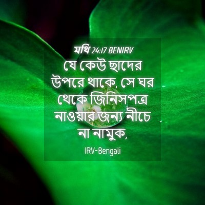 Picture 04 - মথি 24:17 BENIRV - যে কেউ ছাদের উপরে - Bible Verse Picture