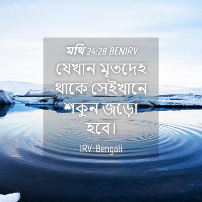 Picture 04 - মথি 24:28 BENIRV - যেখান মৃতদেহ থাকে - Bible Verse Picture