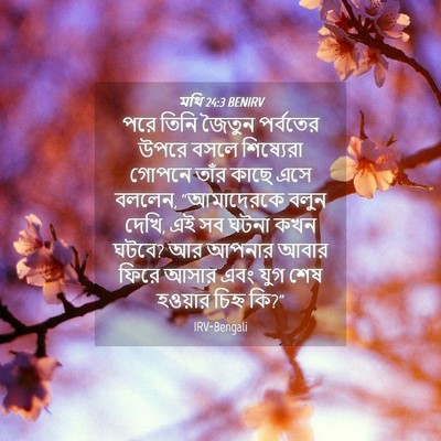 Picture 04 - মথি 24:3 BENIRV - পরে তিনি জৈতুন - Bible Verse Picture