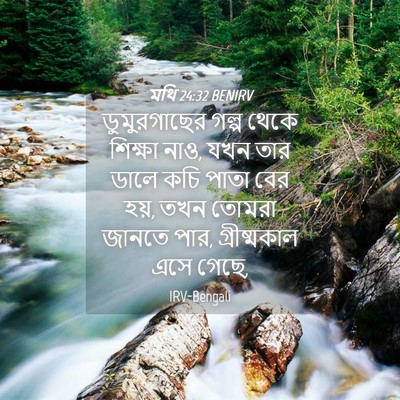 Picture 04 - মথি 24:32 BENIRV - ডুমুরগাছের গল্প - Bible Verse Picture