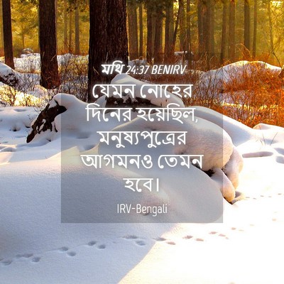 Picture 04 - মথি 24:37 BENIRV - যেমন নোহের দিনের - Bible Verse Picture
