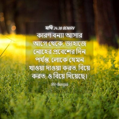 Picture 04 - মথি 24:38 BENIRV - কারণ বন্যা আসার - Bible Verse Picture