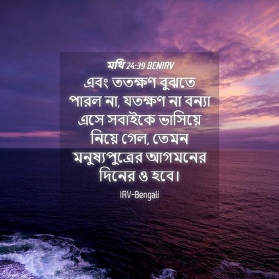 Picture 04 - মথি 24:39 BENIRV - এবং ততক্ষণ বুঝতে - Bible Verse Picture