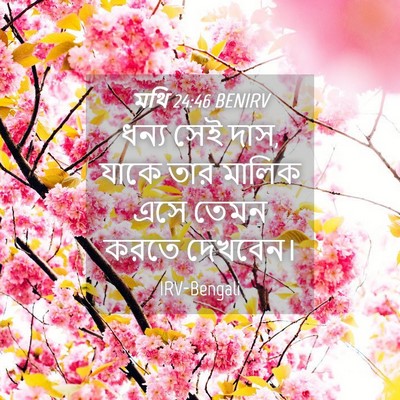 Picture 04 - মথি 24:46 BENIRV - ধন্য সেই দাস, যাকে - Bible Verse Picture