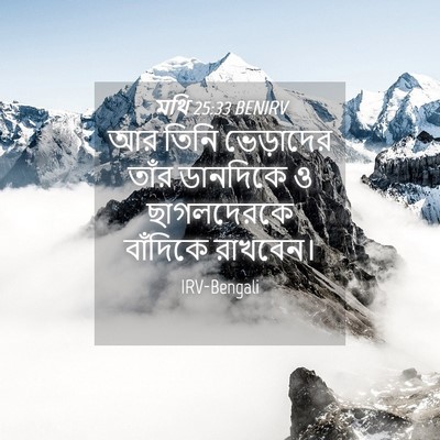 Picture 04 - মথি 25:33 BENIRV - আর তিনি ভেড়াদের - Bible Verse Picture